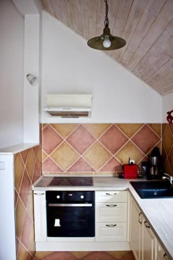 St. Prokop Luxury Apartments 254 Boží Dar 外观 照片